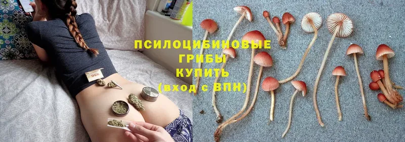 Галлюциногенные грибы Psilocybine cubensis  где продают наркотики  гидра как зайти  Энгельс 